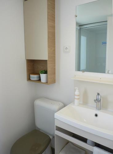 une salle de bain avec toilettes, lavabo et miroir dans l'établissement Mobil home à 100 m des plages dans camping 4 étoiles avec vue sur la montagne, à Canet