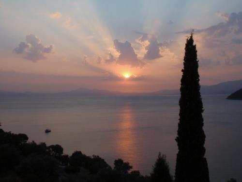 a sunset over the water with a tree in the foreground at Kerveli Village Hotel in Kerveli
