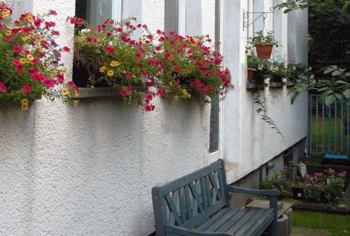a bench sitting in front of a window with flowers at Hostel Aachen in Aachen
