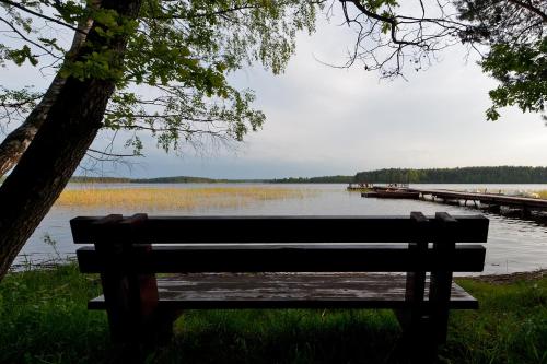 a bench sitting next to a lake with a dock at Belvilis Hotel in Molėtai