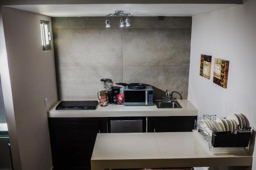 a small kitchen with a sink and a microwave at HOTEL CAREYES in Coatzacoalcos