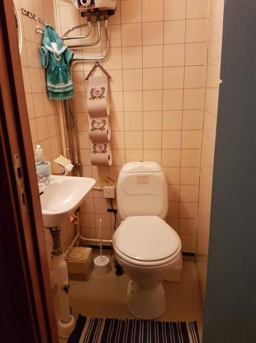 a small bathroom with a toilet and a sink at Liten timmerstuga i Sälen in Sälen