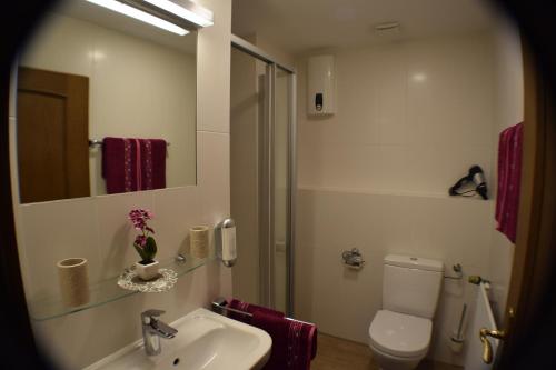 a bathroom with a sink and a toilet and a mirror at Hotel Bürgergesellschaft in Betzdorf