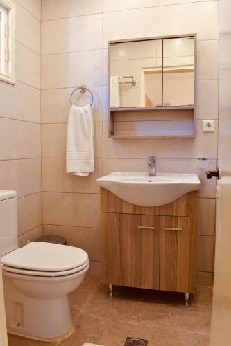 a bathroom with a sink and a toilet and a mirror at Family Studios in Marathias