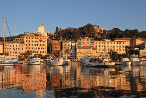 a group of boats docked in a harbor with buildings at Albergo Annabella in Santa Margherita Ligure
