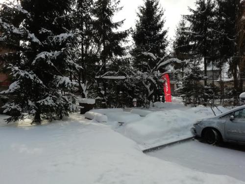 a parking lot covered in snow with a car at Willa Mirabelka in Piwniczna