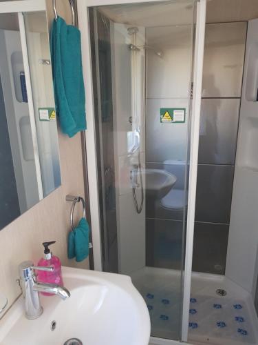 a bathroom with a shower and a sink and a toilet at 3 bedroom caravan with hot tub Tattershall lakes in Tattershall