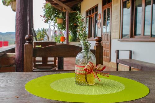 a vase with a plant in it sitting on a table at Cabaña El Mirador Vallegrande in Vallegrande
