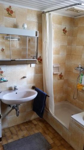 een badkamer met een wastafel en een douche bij La Perla della Drava in Steinfeld