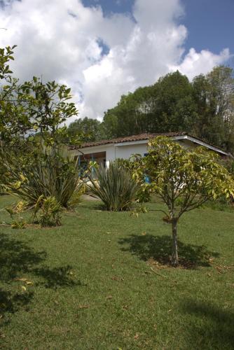 a small tree in a yard with a house at Buriti EcoH RNT56521, via Termales Santa Rosa de Cabal in Santa Rosa de Cabal