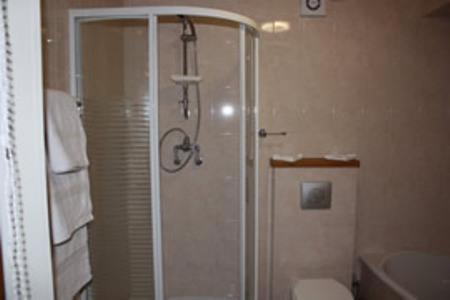 ein Bad mit einer Dusche und einem WC in der Unterkunft The Anvil Lodge in Shifnal