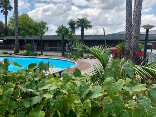 a swimming pool with plants in front of a building at Teal Motor Lodge in Gisborne