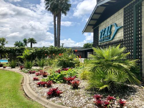 a garden of flowers in front of a building at Teal Motor Lodge in Gisborne