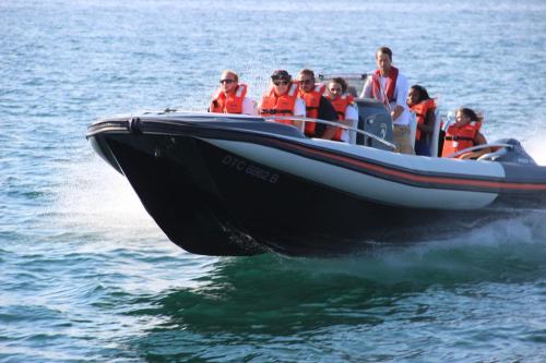a group of people in a boat on the water at GORDON's SHORE LUXURY APARTMENTS - Solar Powered in Gordonʼs Bay