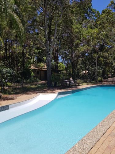 uma piscina azul com árvores ao fundo em Byron Bay Rainforest Resort em Byron Bay