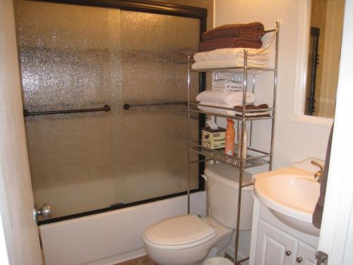 a bathroom with a shower with a toilet and a sink at Sierra Manor in Mammoth Lakes