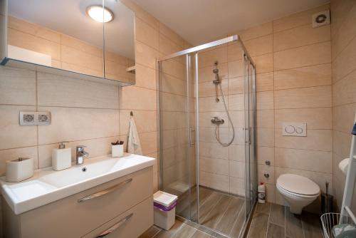 a bathroom with a shower and a sink and a toilet at Apartment Stil near Terme Paradiso in Dobova