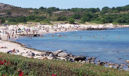 a group of people swimming in the water at a beach at NORDVIG bed & breakfast in Sandvig
