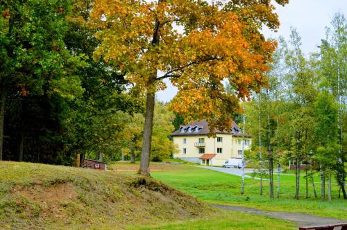 a tree on a hill in front of a house at Atpūtas centrs Paideri in Alūksne