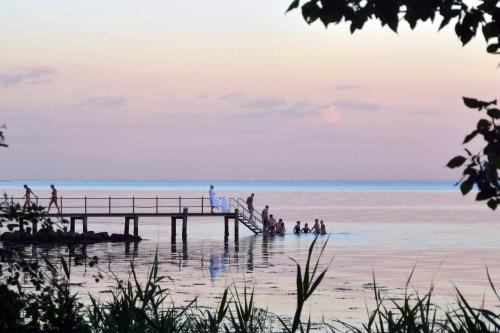 a group of people on a pier in the water at Hotel Vejlefjord in Stouby