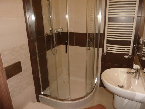 a bathroom with a shower and a toilet and a sink at Centrum Promocji Leśnictwa w Mucznem in Lutowiska