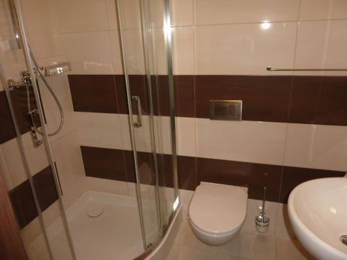 a bathroom with a shower and a toilet and a sink at Centrum Promocji Leśnictwa w Mucznem in Lutowiska