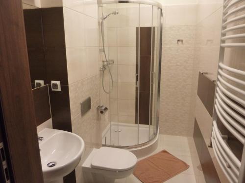 a bathroom with a shower and a toilet and a sink at Centrum Promocji Leśnictwa w Mucznem in Lutowiska