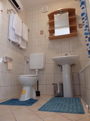 ツリクヴェニツァにあるAspectus Apartmentのトイレと洗面台付きのバスルーム