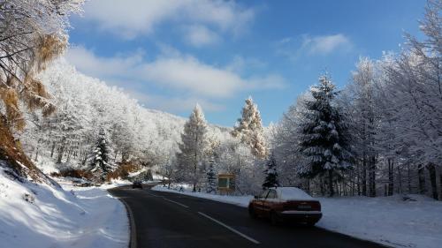 Pensiunea Vila Cerbul – Photos 2