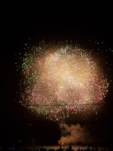 a firework display in the sky at night at Departamento Frente al Mar in Viña del Mar