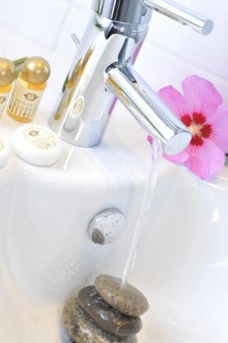 un ruisseau d'eau provenant d'un robinet avec une fleur rose dans l'établissement Hotel Eden Park Pau Est, avec Piscine, à Pau