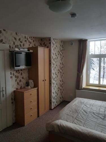 a bedroom with a bed and a tv on the wall at BLUE PENSiON in Svoboda nad Úpou