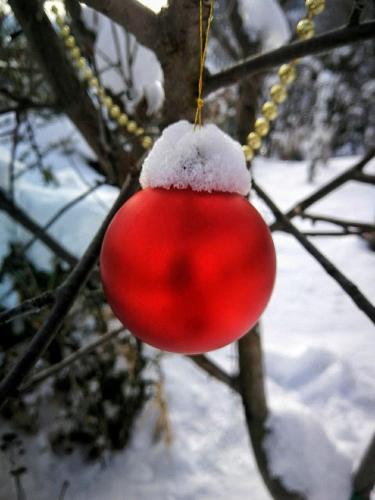 a red ornament hanging from a tree in the snow at Paradise garden in Sarajevo
