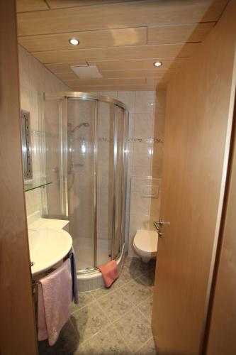 a bathroom with a shower and a sink and a toilet at Landhaus Erlzette in Tux