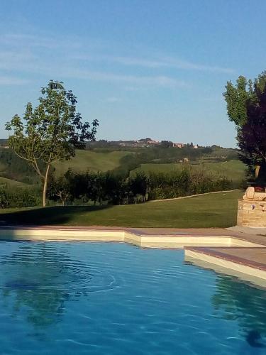 a large swimming pool with a view of a yard at San Lorenzo Agriturismo in Buonconvento