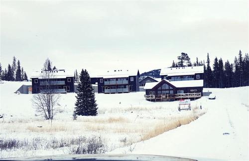 Parkstigens Lägenheter during the winter