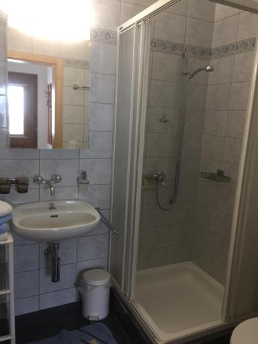 ein Bad mit einer Dusche und einem Waschbecken in der Unterkunft Appartement MELCHER Sotchà Dadaint 654 in Scuol