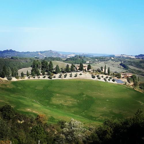 an aerial view of a large green field at San Lorenzo Agriturismo in Buonconvento