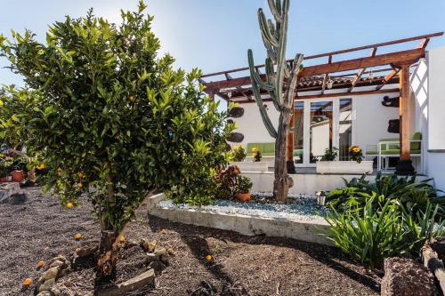 a house with orange trees in front of it at Bungalow Los Laureles in El Paso