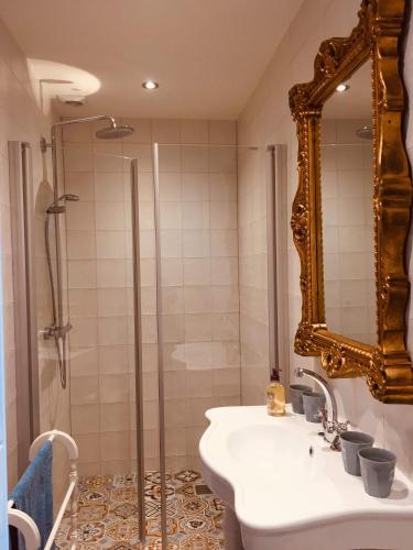 a bathroom with a shower and a sink and a mirror at Maison la Tulipe in Zoutelande