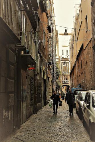 Matis House, historic center, San Domenico square