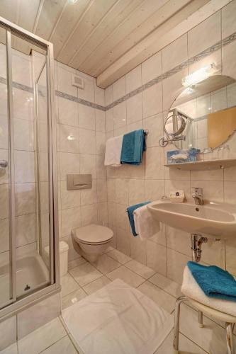 a bathroom with a shower toilet and a sink at Hotel Hirschenstein in Achslach