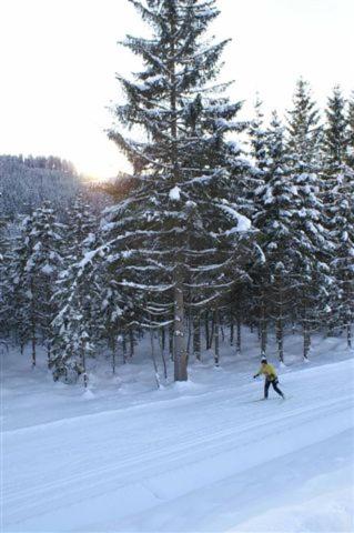 冬のAppartement VIDMAR-WINTERTRAUMの様子