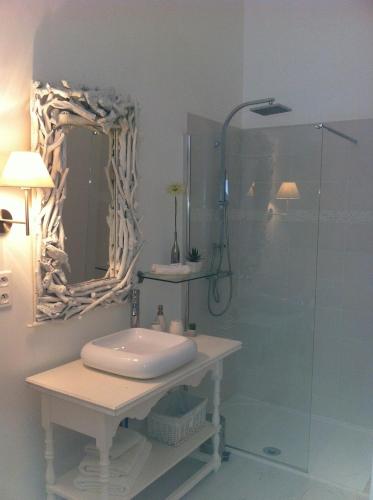 a bathroom with a sink and a shower with a mirror at Au Paradis Cathare in Fraissé-des-Corbières