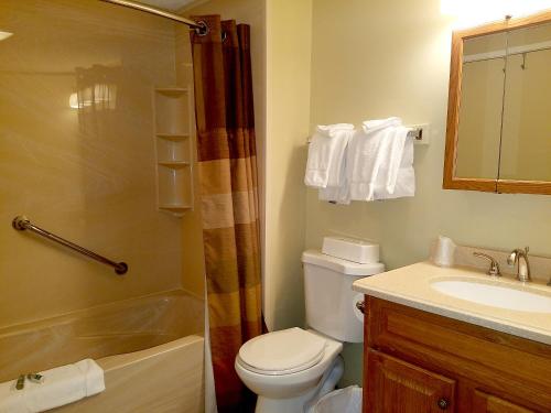 a bathroom with a toilet and a sink and a shower at Village of Loon Mountain, a VRI resort in Lincoln