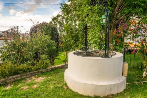 a tree in a white planter in the grass at El Jardin De Su Merced B&B in Sucre