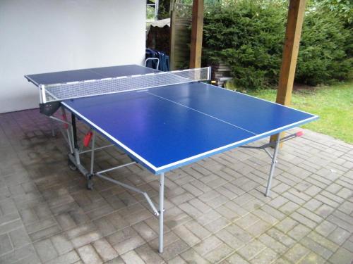 a blue ping pong table sitting on a patio at Ferienwohnung Bibas in Kurort Jonsdorf