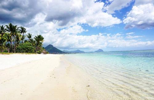 a sandy beach with palm trees and the ocean at Exotic Copa Cabana Beachftont in Flic-en-Flac