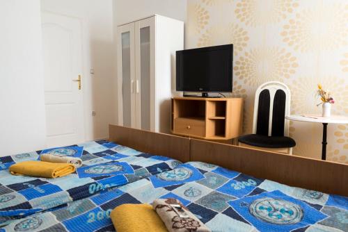 a bedroom with a bed and a tv on a table at Vila Šiftar in Moravske Toplice