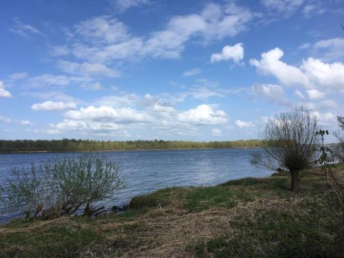 a large body of water with trees in the background at COSY & NATURAL *FIREPLACE*GARDEN*2 BIKES in Heinenoord